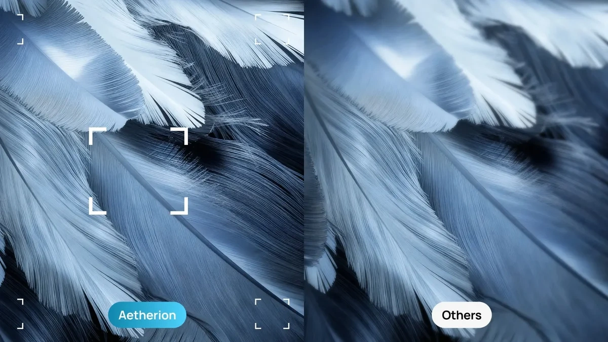 Comparaison de netteté d'image entre un projecteur Aetherion et un projecteur concurrent sur un détail de plumes.